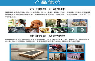 上饶室内除甲醛指南 一站式空气检测治理服务，守护呼吸健康